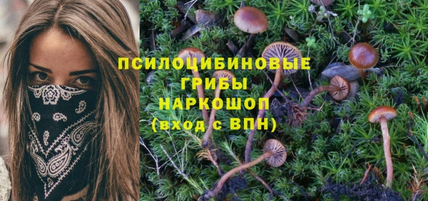 spice Балахна