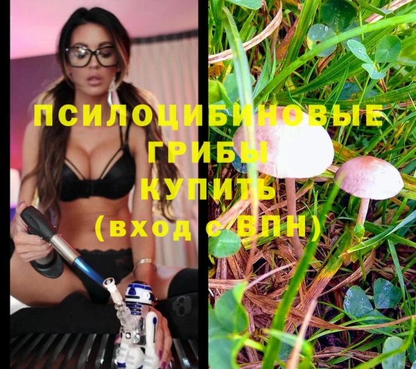 spice Балахна